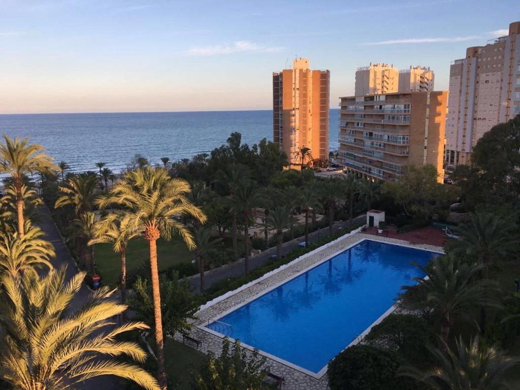 Alicante Plage Muchavista Vu Mer Piscine ,Wifi 외부 사진